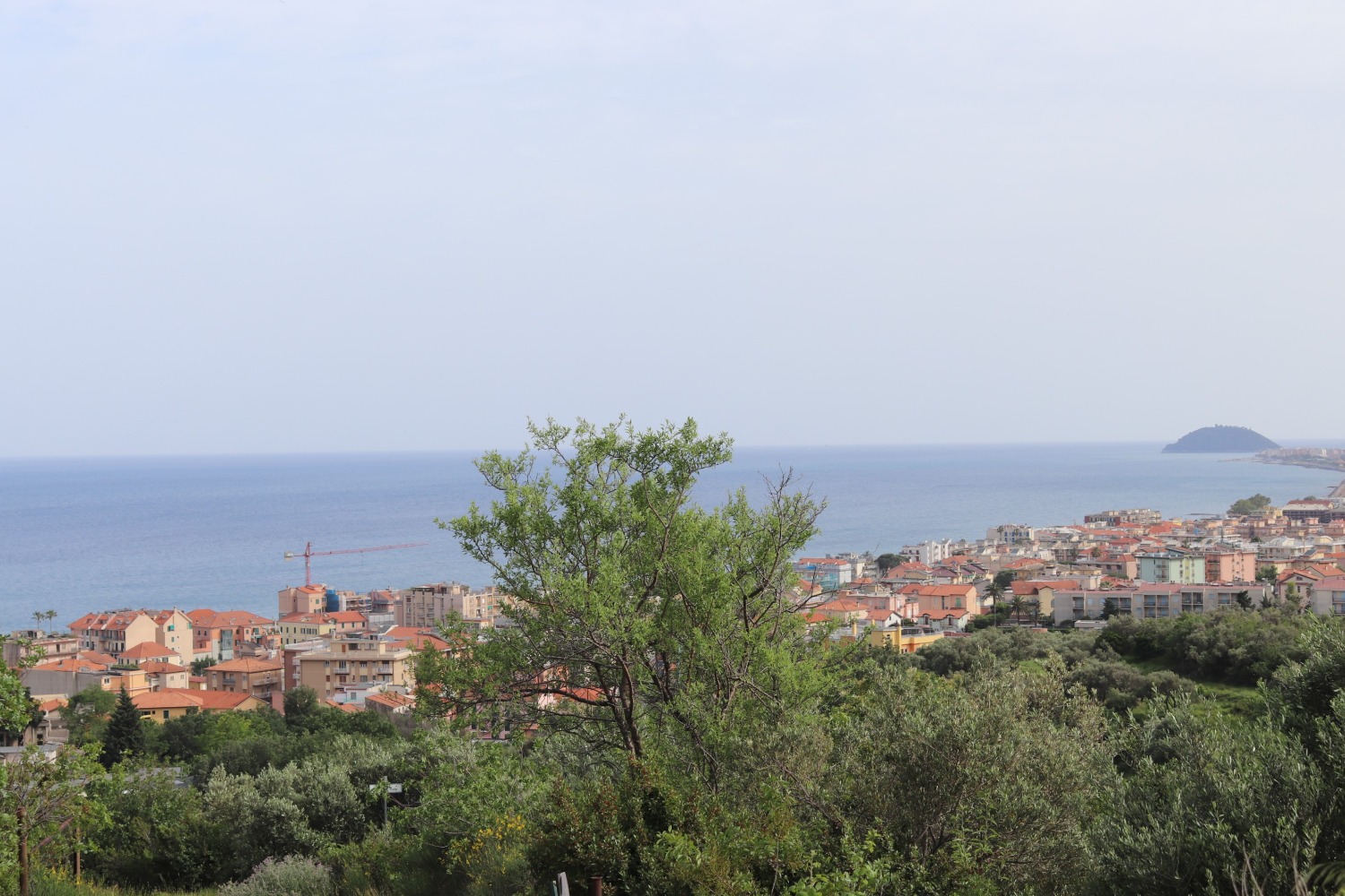 Ceriale - 1 locali � 240000 0T002