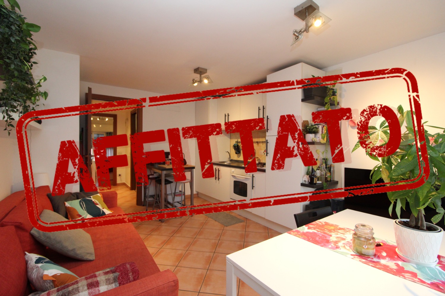 Appartamento in affitto in Città Studi