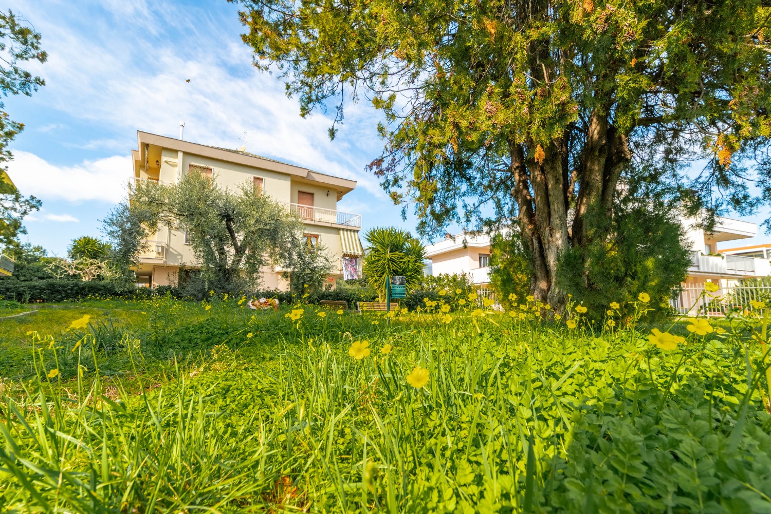 BILOCALE CON CANTINA IN ZONA PINELAND